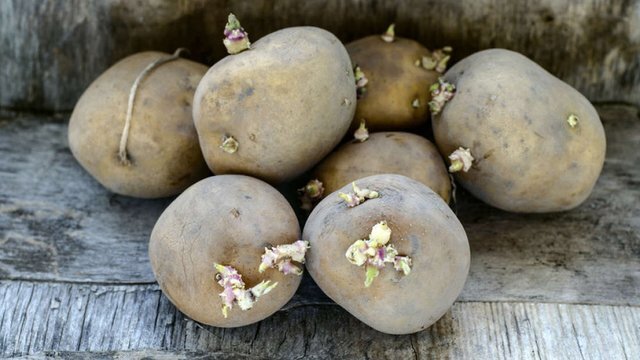 کاهش قیمت سیب زمینی به ۲۹ هزار و ۵۰۰ تومان/ گوشت قرمز را اینجا ۲۰ درصد ارزانتر بخرید 1 کاهش قیمت سیب زمینی به ۲۹ هزار و ۵۰۰ تومان/ گوشت قرمز را اینجا ۲۰ درصد ارزانتر بخرید