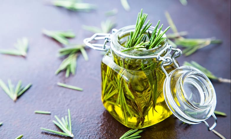 رزماری گیاهی با خواص شگفتانگیز 4 خواص روغن رزماری برای مو و پوست + روش استفاده از آن برای مو