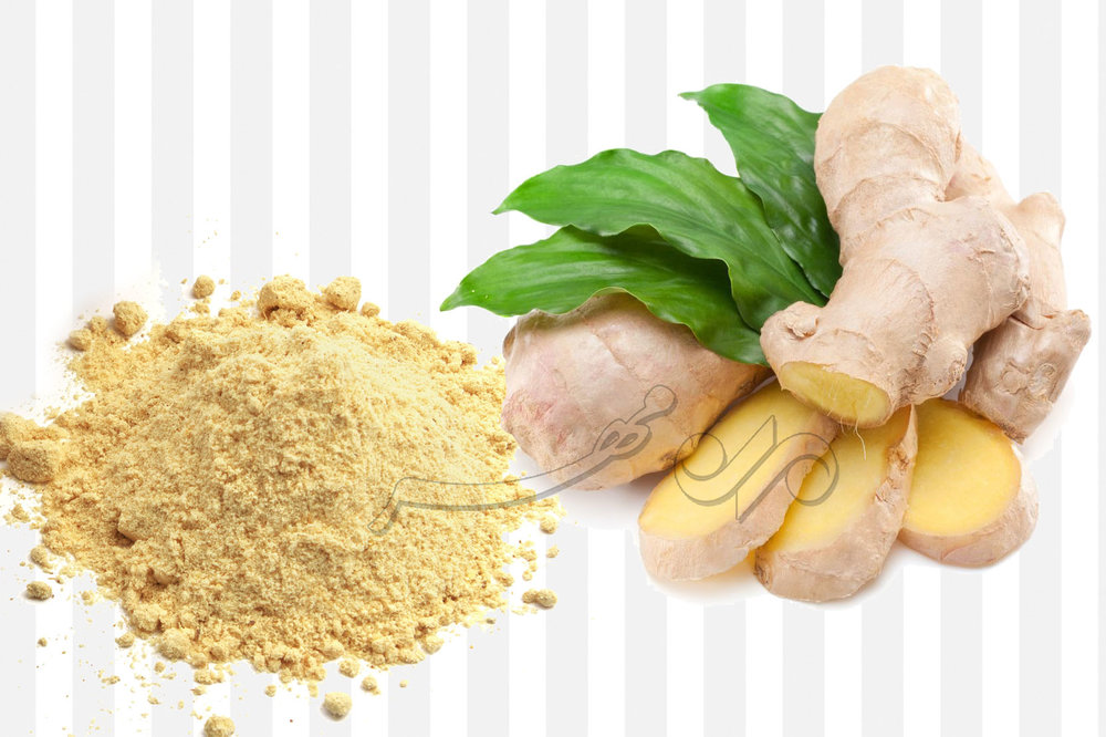 از تقویت مو تا کاهش التهاب؛ گیاهی همهکاره برای زندگی سالم 3 از تقویت مو تا کاهش التهاب؛ گیاهی همهکاره برای زندگی سالم