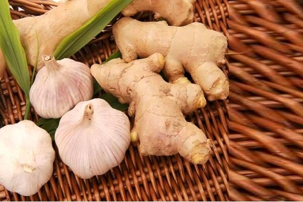 از تقویت مو تا کاهش التهاب؛ گیاهی همهکاره برای زندگی سالم 2 از تقویت مو تا کاهش التهاب؛ گیاهی همهکاره برای زندگی سالم
