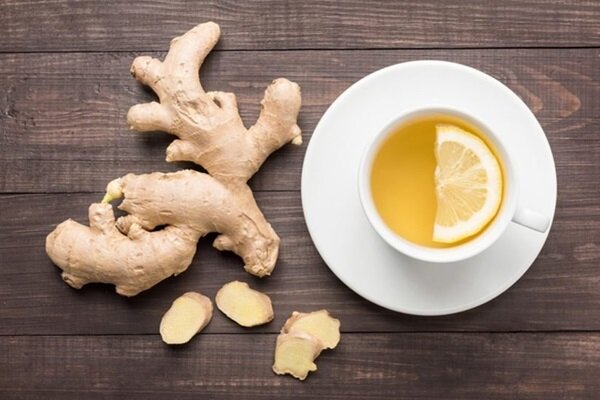 از تقویت مو تا کاهش التهاب؛ گیاهی همهکاره برای زندگی سالم 1 از تقویت مو تا کاهش التهاب؛ گیاهی همهکاره برای زندگی سالم