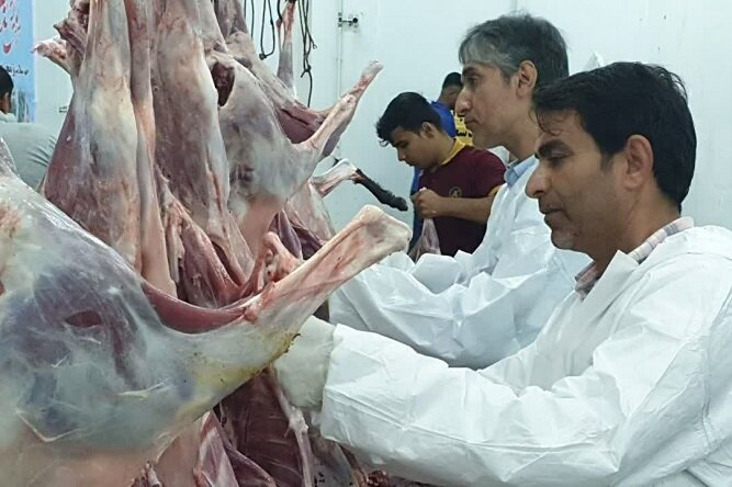 نذورات عید قربان برای توزیع بین مددجویان مازندران جمع آوری میشود 1 نذورات عید قربان برای توزیع بین مددجویان مازندران جمع آوری میشود